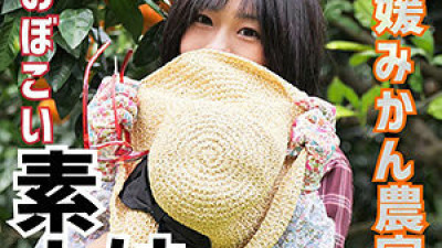 LADY-386 mandarin orange